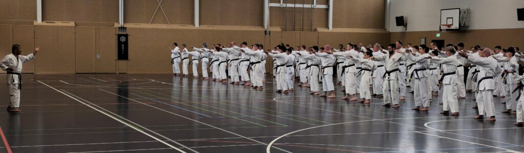 Training mit Aragane Shihan